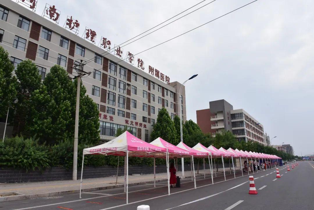 河南，传承与创新交织的振兴之路