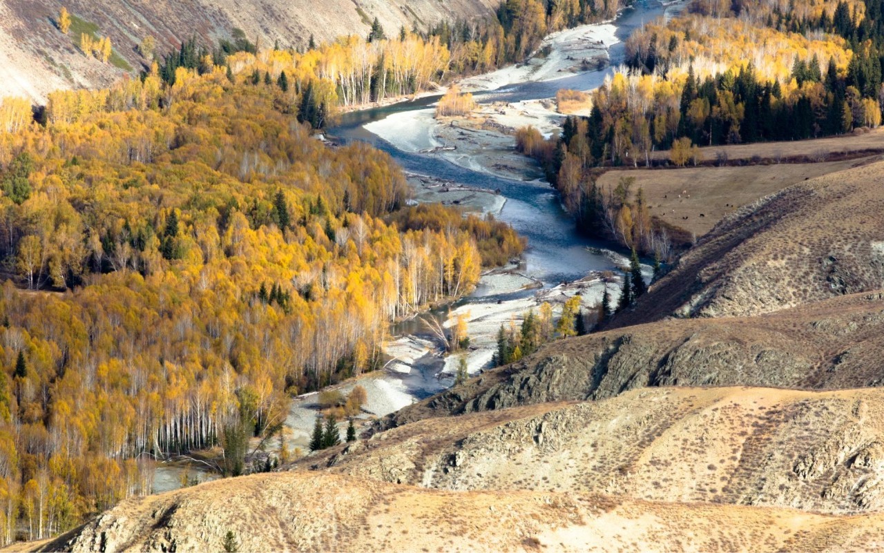 新疆，地理、历史、文化与现状概览